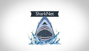 upload622sharknet